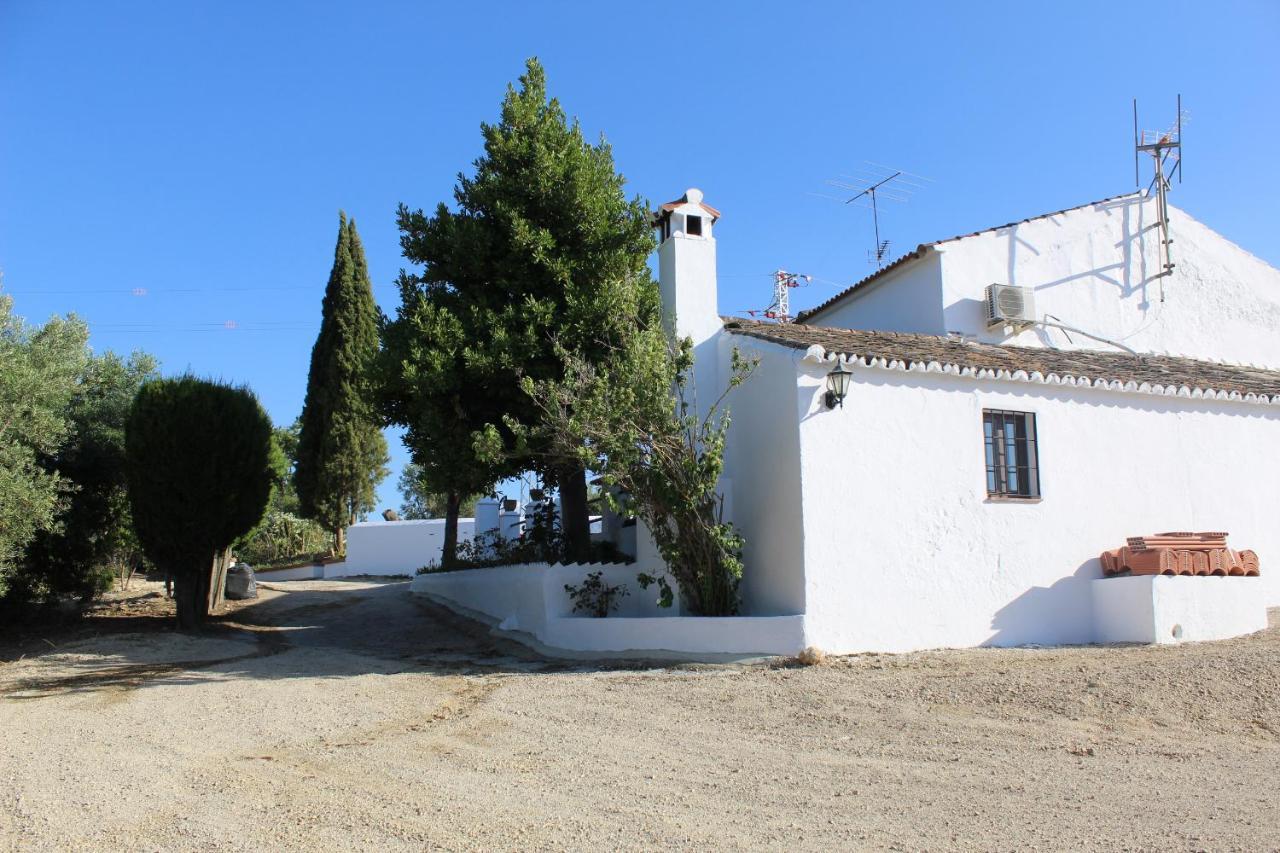 Casa Rural Faltriquera Setenil Setenil De Las Bodegas Exterior photo